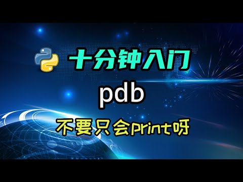 【python】来学学debugger吧,不能只会用print调试呀!
