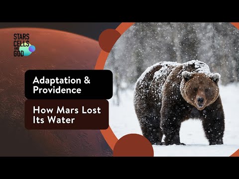 Stars, Cells, and God | How Mars Lost Its Water and Adaptation & Providence