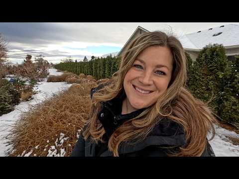 Cleaning Up SO Many Tumbleweeds + Moving & Trimming Up a Large Olive Tree! 🥴🌳✂️