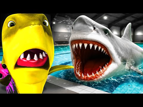 Stuck in The Pool with HIM..