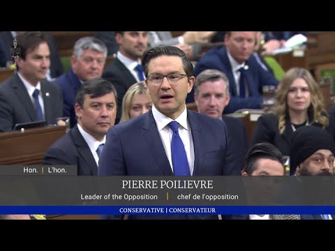 Poilievre grills Trudeau over pricey McKinsey contracts