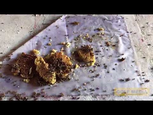 GOLF STORE - THE TRANSFORMATION