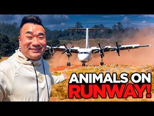 Kenya π°πͺ or Tanzania πΉπΏ ? Africa Fly-in Safari Adventure