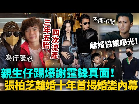 爆震娛樂圈!謝霆鋒真面目被親生仔當眾戳穿!張柏芝沉默十年終於崩潰,公開當年婚變內幕:三年五胎四次流 ’剷,謝霆鋒卻密會王菲!?#張柏芝 #謝霆鋒 #港圈日報