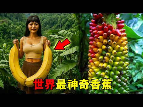全世界最神奇的十種香蕉!價格堪比黃金只能排第十,第一名直接長成自然奇觀!