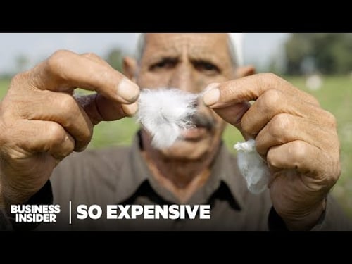 Why Real Egyptian Cotton Is So Expensive | So Expensive | Business Insider