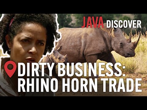 Africa's Deadly Rhino Horn Trade: Gambling on Extinction | Africa Documentary