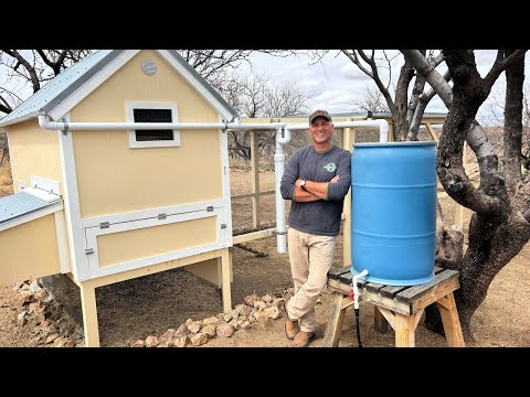 My FAVORITE Rainwater Harvesting Project to Learn the Basics.... & New Baby Goats!