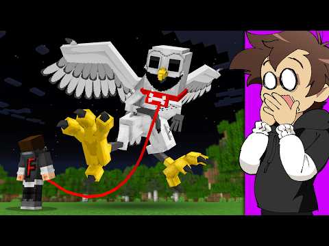 Can You Keep OWL MONSTER as a Pet?