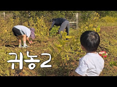 저희 또 귀농합니다