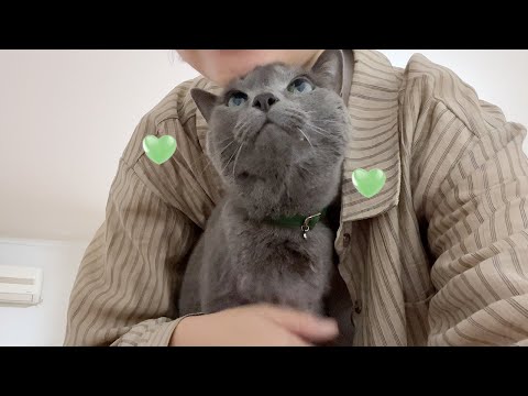 How did Monji do while the butler was away