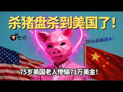 中国人vs美国人谁更容易被骗?2026 AI时代杀猪盘揭秘 |杀洋盘|网络诈骗|文婷