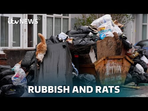 Rubbish and Rats: The Reality of the Birmingham Bin Strike| ITV News