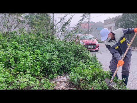 Traveled over 400km to help an old lady clean the sidewalk to welcome the new year 2025