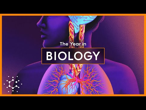 Biggest Breakthroughs in Biology and Neuroscience: 2024