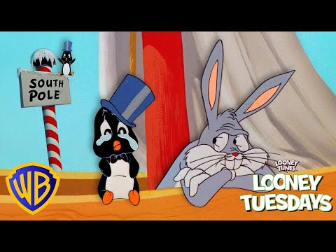 Can Bugs Bunny Help the LOST Baby Penguin?! 🐧❄️ | Looney Tuesdays | #KidsCartoons @wbkids