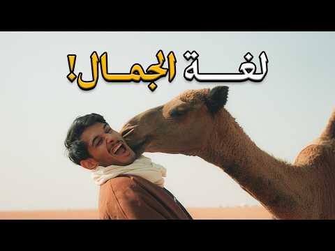 The Secret Language with Camels 🇸🇦