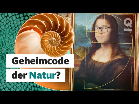 Kann die Natur Mathe? | Quarks Dimension Ralph