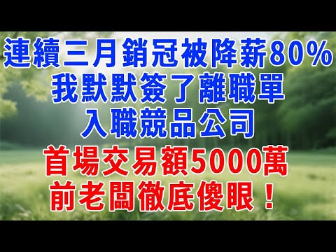 連續三月銷冠被降薪80%,我默默簽了離職單,入職競品公司首場交易額5000萬,前老闆徹底傻眼!#人生感悟 #故事分享 #原创视频 #职场 #打脸