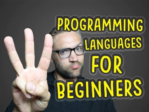The Top 3 Programming Languages For Beginners