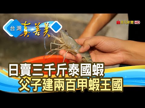 歸零再起“泰國蝦王國”|黑豬泰國蝦|【台灣真善美】2020.10.25
