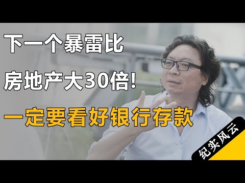 下一个雷比地产大30倍!普通人一定要看好银行的存款!#许知远 #纪实风云 #纪录片 #刘擎