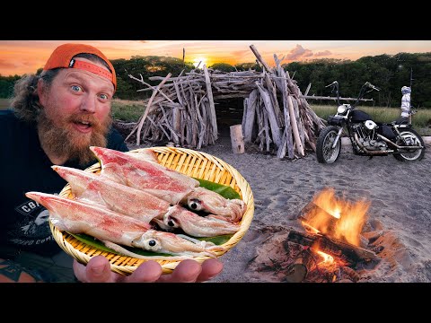 Maine Squid Catch Clean & Cook | Day 5 of 7 Motorcycle Camping Maine Easy Rider Adventure