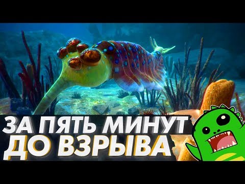 Жизнь и смерть первых многоклеточных: Эдиакарская Биота и дикинсония