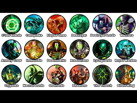 The Entire Necron Hierarchy Explained In 16 Minutes