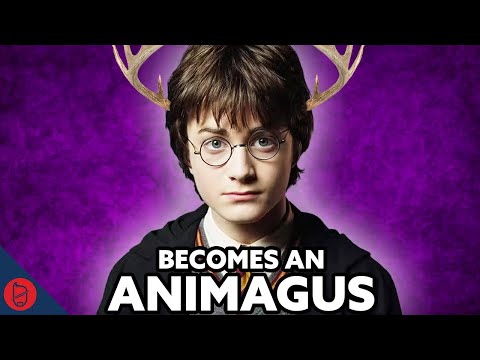 What If Harry Never Called The Knight Bus? | Harry Potter Film Theory