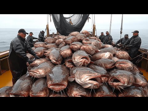 How Billions Catfish Are Raised and Processed | Inside the World of Modern Catfish Farming