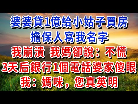 My mother-in-law lent 100 million yen to my sister-in-law to buy a house with me as the guarantor.