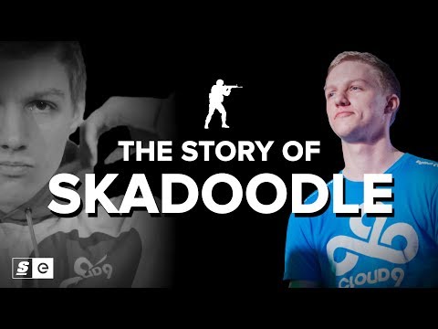 The Story of Skadoodle