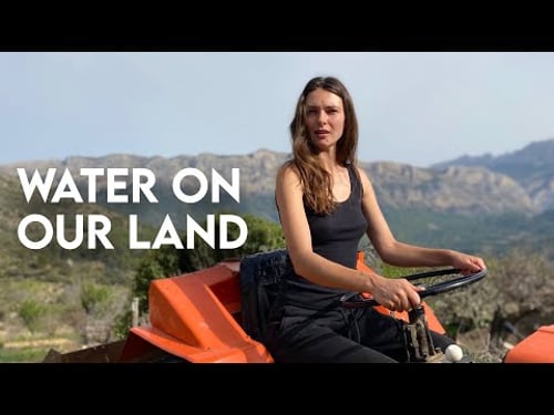 Restoring our abandoned land with HUGE POND and SWALE | OFF-GRID HOMESTEAD