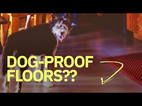 Flooring options for your remodel