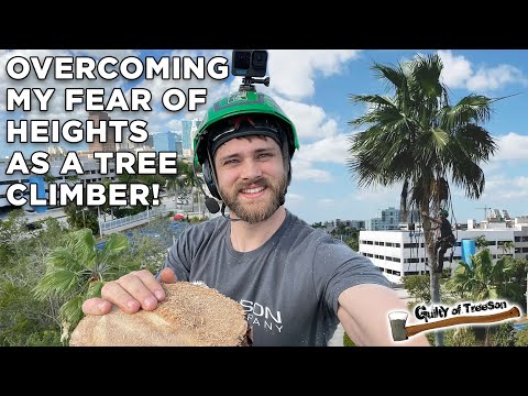Overcoming My Fear! Climbing and Cutting Down a Tall Wobbly Palm Tree!