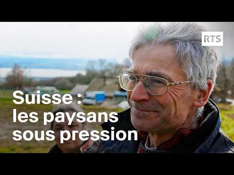 Colère des paysans : peut-on encore vivre de l’agriculture en Suisse ? | RTS