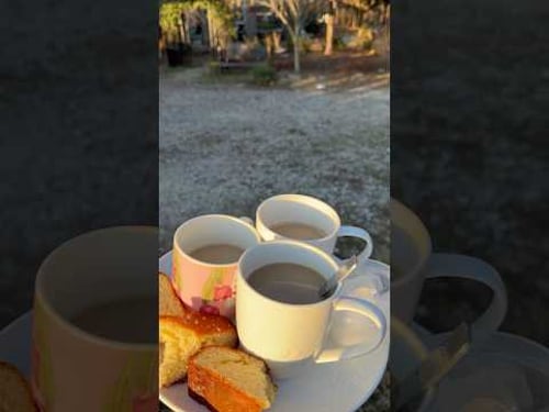 Me dijeron queremos ir afuera a tomar café #natural