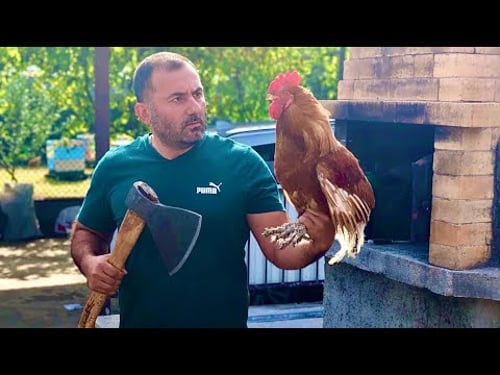 КУРИНОЕ МЯСО с ОВОЩАМИ на СКОВОРОДЕ. ENG SUB