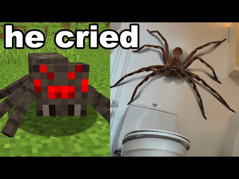 I Got My Little Brother a Minecraft Spider in Real Life