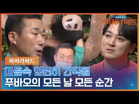 푸바오 할부지가 이야기하는 푸바오의 탄생부터 이별까지😭 #highlight #어쩌다어른