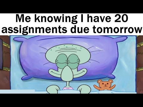 School Memes ONLY Students Understand