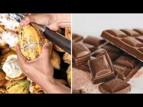 How Chocolate is Made: Step-by-Step from Bean to Bar! Chocolate Journey 🍫