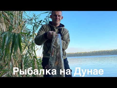 СОМ. ЖЕРЕХ. ТРИ ДНЯ НА РЕКЕ ДУНАЙ