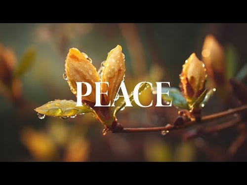 PEACE |Soaking Prayer Music | Instrumental for Prayer, Devotion, Peace, Meditation and Relaxation