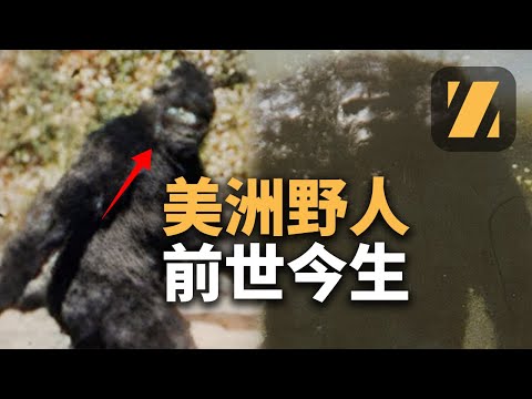 【深扒美洲大腳怪事件】| 真探者 | 野人 | 大腳怪 | 神農架野人 | UMA | 雪人 | 神農架 |