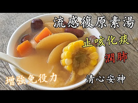 流感復原湯/蘋果腰果素湯/止咳化痰,潤肺/增強抵抗力粵語/中字/728