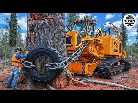 Extreme Dangerous Monster Stump Removal Excavator | Amazing Fastest Wood Chipper Machines #47