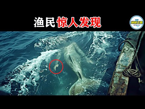 渔民被海面上的怪物当场吓尿!他们撒网捕捉,不料下秒恐怖一幕发生……20个渔民和水手们的惊人发现!丨地球之最#冷知识 #排名 #世界之最#世界之最top#top10#地球之最#奇闻异录#惊人发现#海猴子