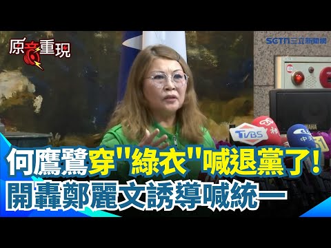 【#原音重現】何鷹鷺穿「綠衣」出席國民黨中常會:我不幹了!我退黨了!開轟鄭麗文誘導喊統一 直言這樣玩下去「真的就是在玩火」|三立新聞網 SETN.com